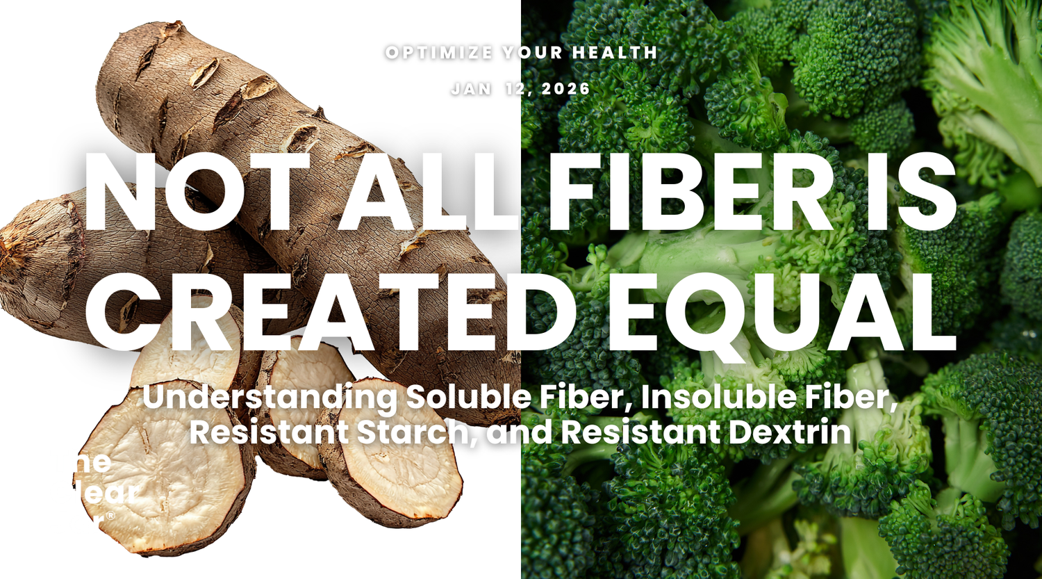 Not All Fiber Is Created Equal: Soluble, Insoluble, and Resistant Fiber Explained