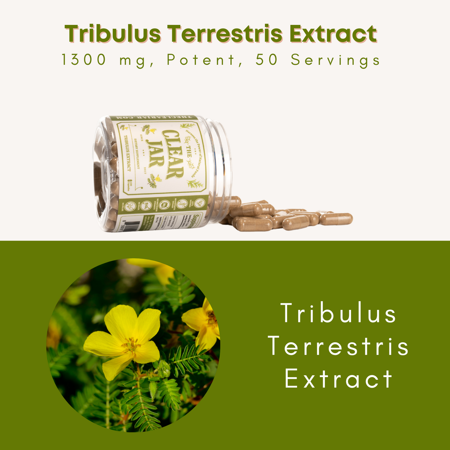 Tribulus Terrestris Extract - 100 Capsules