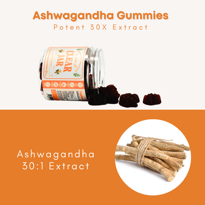 Ashwagandha Gummies with 30X Potent Ashwagandha Extract, 50 Ct