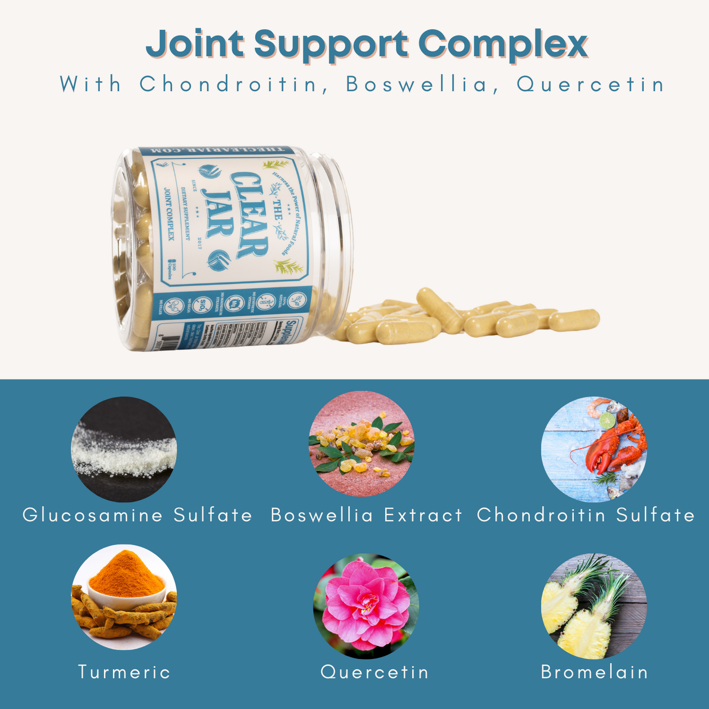 Joint Support Complex - 100 Capsules