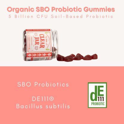 Organic SBO Probiotic Gummies, 60 Gummies, High Survivability