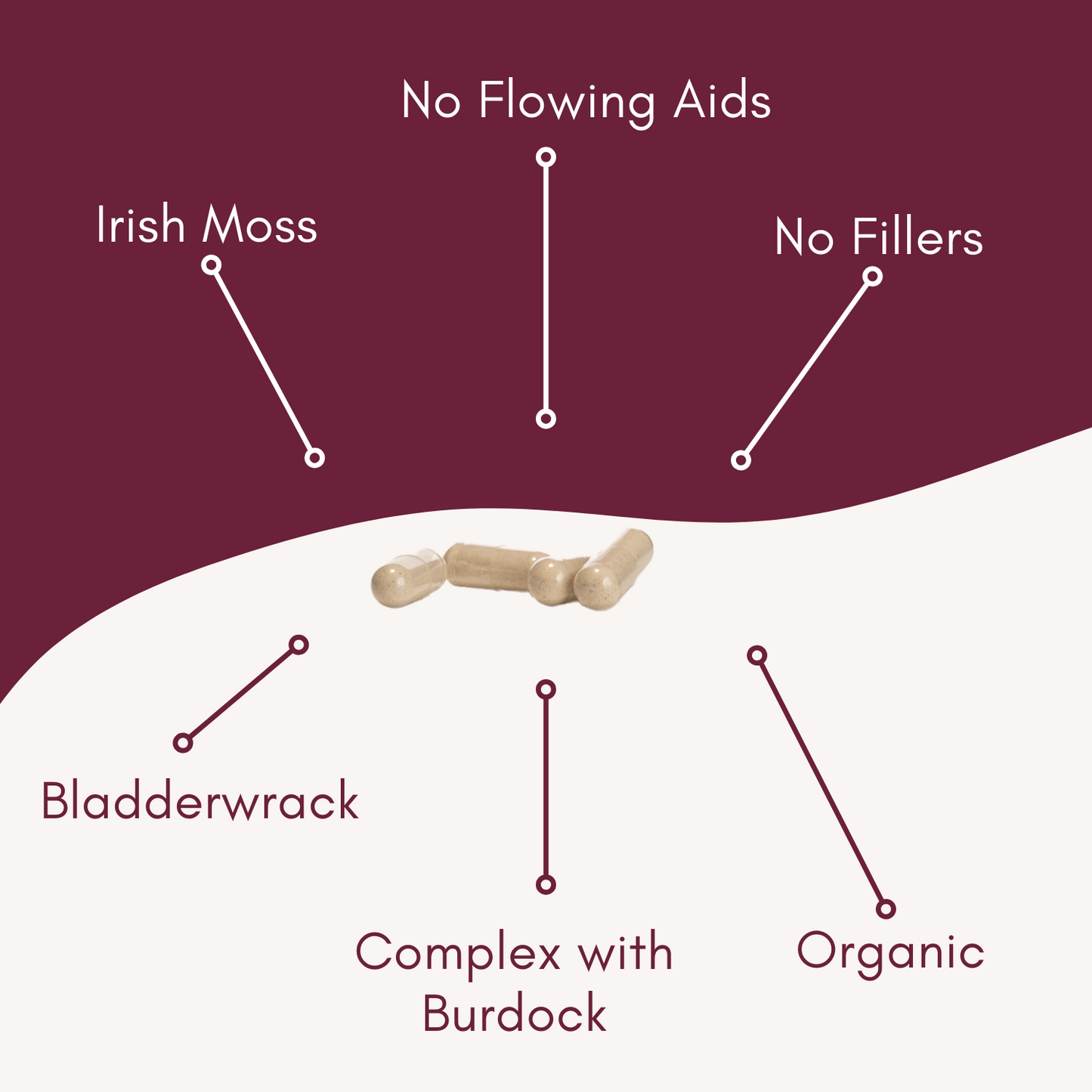 Organic Sea Moss Complex, Organic Irish moss, Organic Bladderwrack, and Organic Burdock- 100 Capsules
