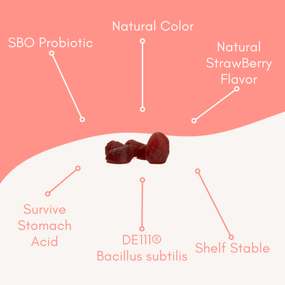 Organic SBO Probiotic Gummies, 60 Gummies, High Survivability